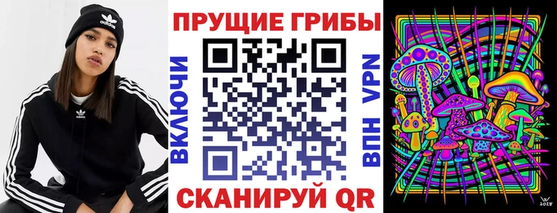 Галлюциногенные грибы прущие грибы  Купить  Вышний Волочёк 